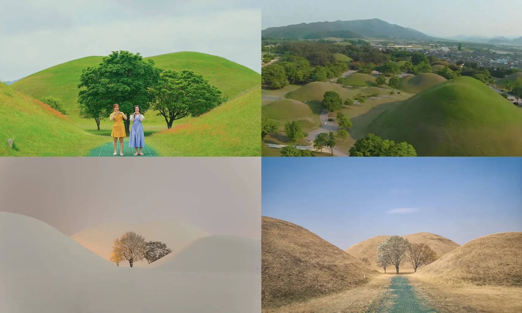 大陵苑/대릉원